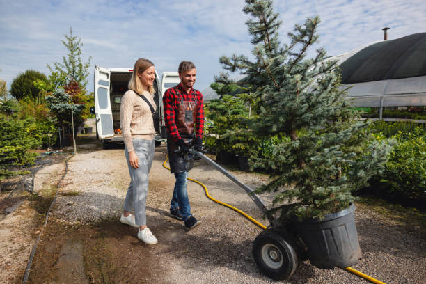 Best Commercial Tree Services  in Sophia, WV
